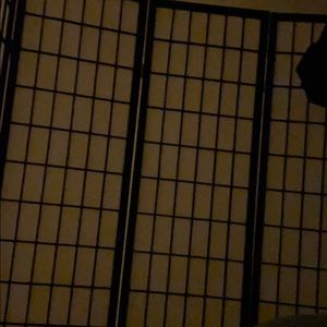 Meet your Posher, Heng